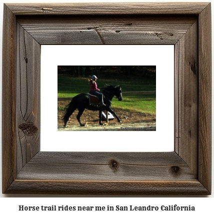 horse trail rides near me in San Leandro, California